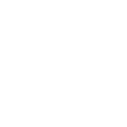 footer website logo